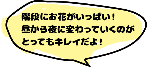 階段にお花がいっぱい！昼から夜に変わっていくのがとってもキレイだよ！